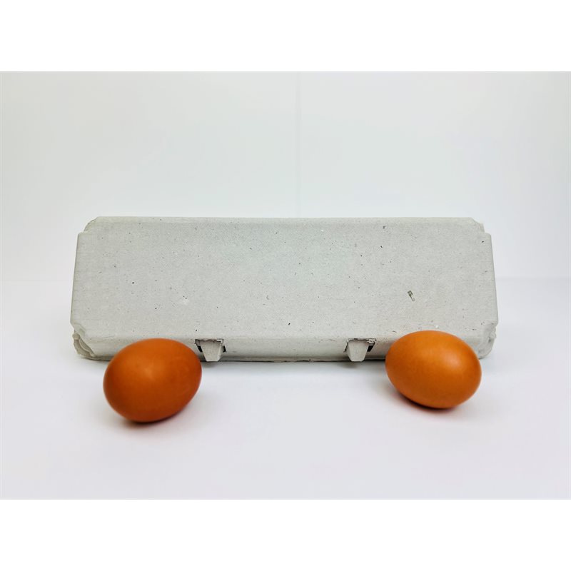 Non-printed Egg Cartons